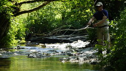 Fishing on the River Bray