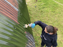 Emma painting one of the pods.
