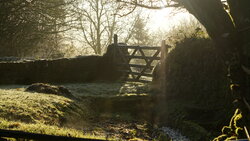 Ancient cobbles around the stream