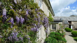 An unusual view of the front of the house!