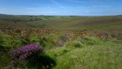 Exmoor National Park